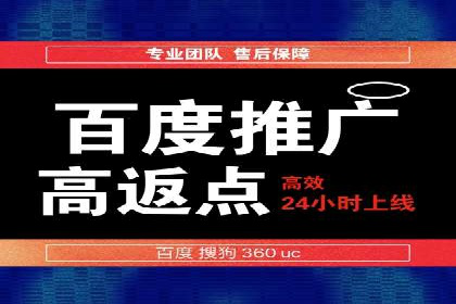 揭秘百度包年竞价优势：成功案例深度解析
